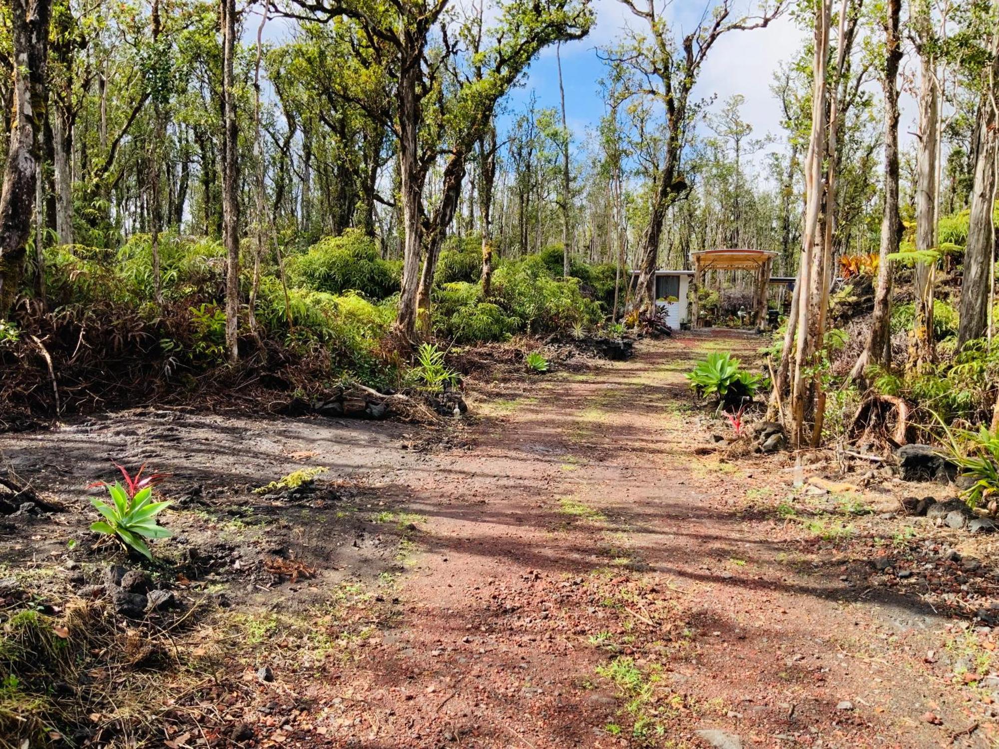 Exotic Garden Cottage At Amazing Volcano Fissure Mountain View Exterior foto