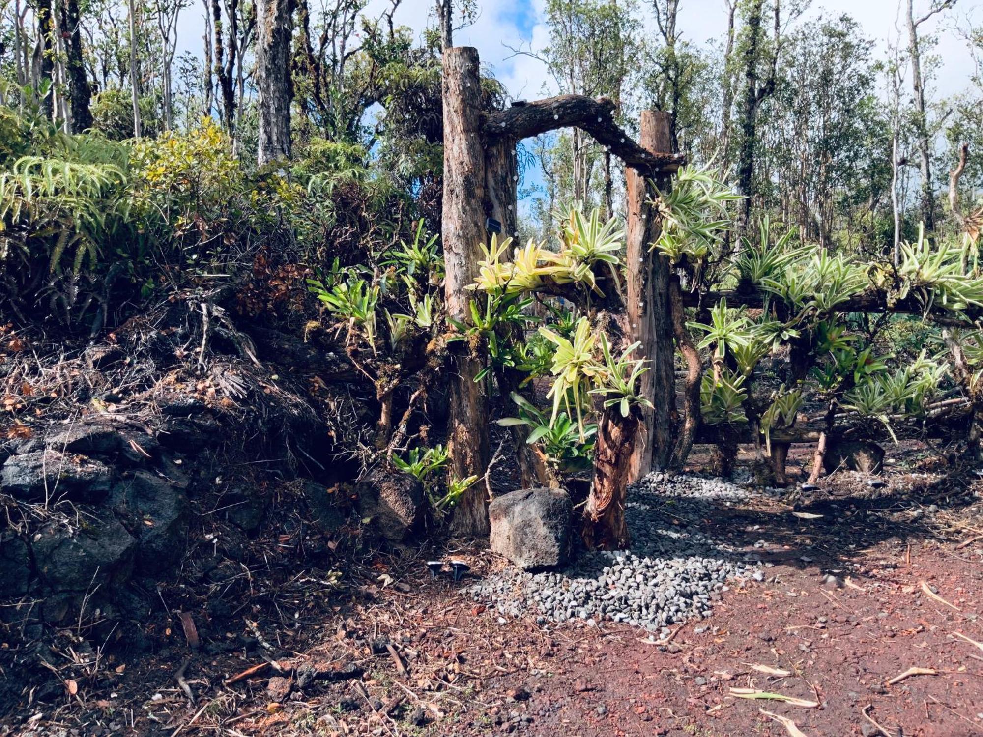 Exotic Garden Cottage At Amazing Volcano Fissure Mountain View Exterior foto