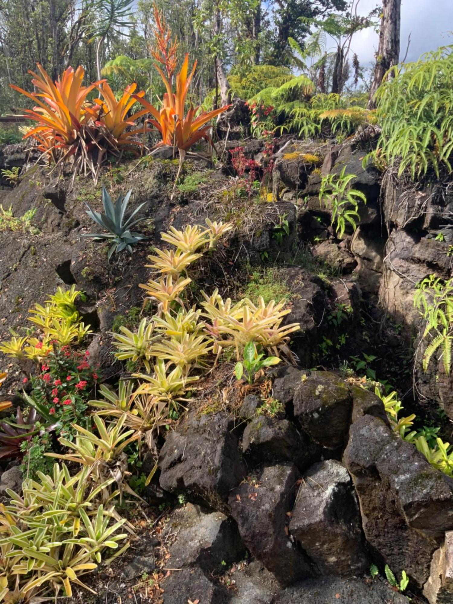Exotic Garden Cottage At Amazing Volcano Fissure Mountain View Exterior foto