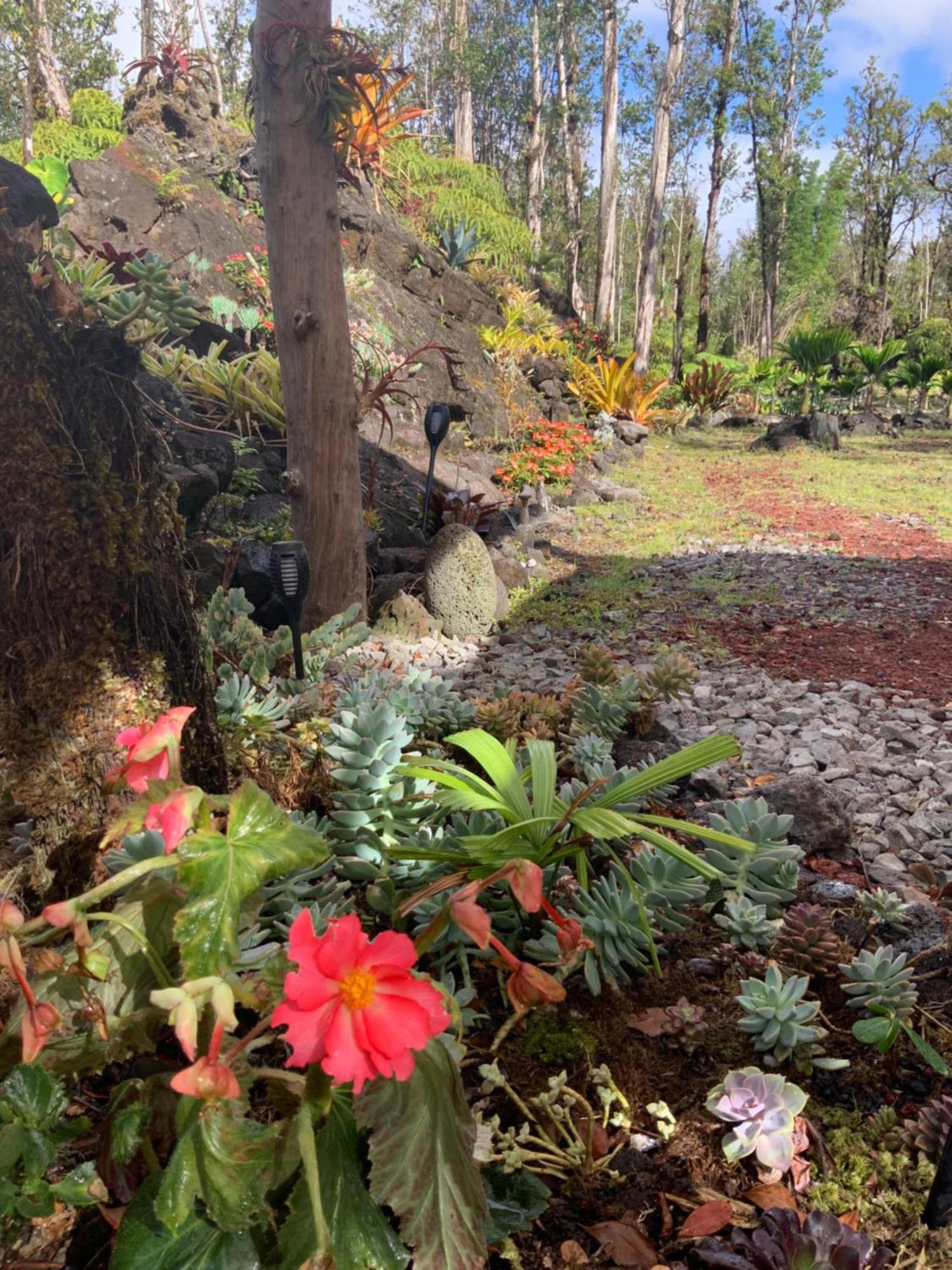 Exotic Garden Cottage At Amazing Volcano Fissure Mountain View Exterior foto