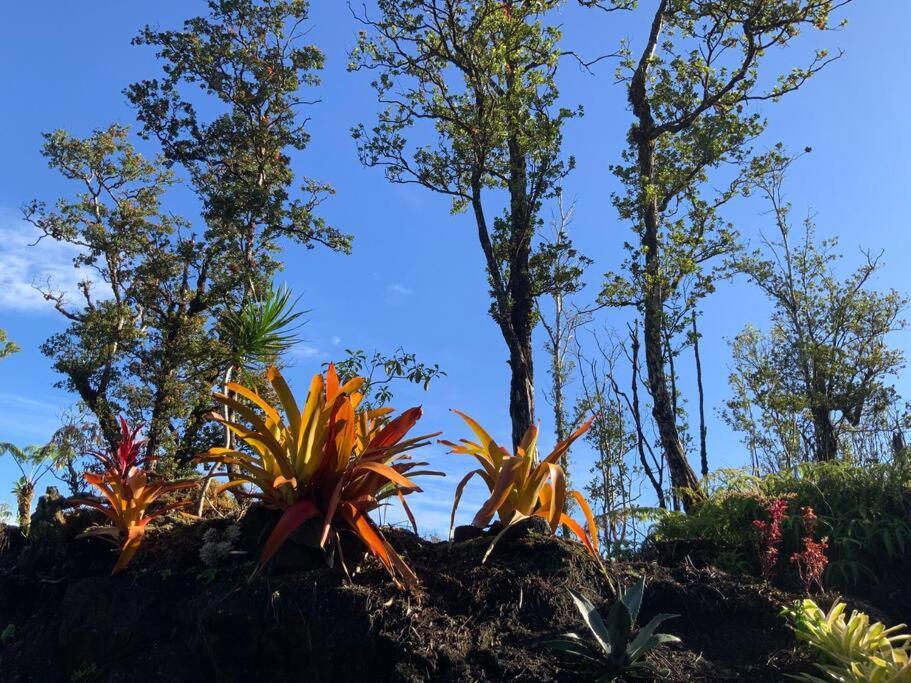 Exotic Garden Cottage At Amazing Volcano Fissure Mountain View Exterior foto